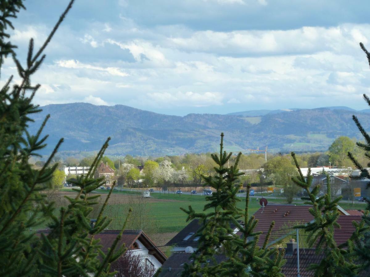 Helle 70 Qm Ferienwohnung Mit Herrlichem Blick Teningen Exterior foto